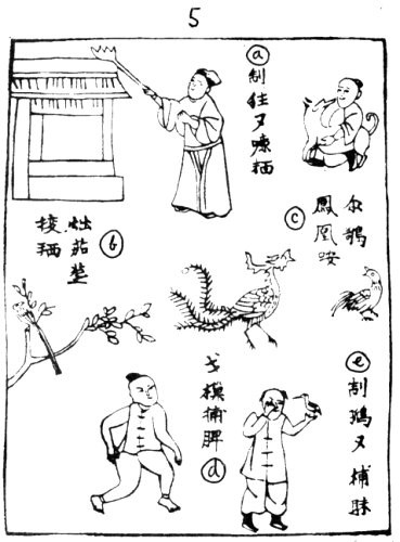 36 cau noi  nguoi xua